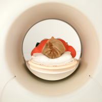 Компьютерный томограф Philips Vereos PET/CT